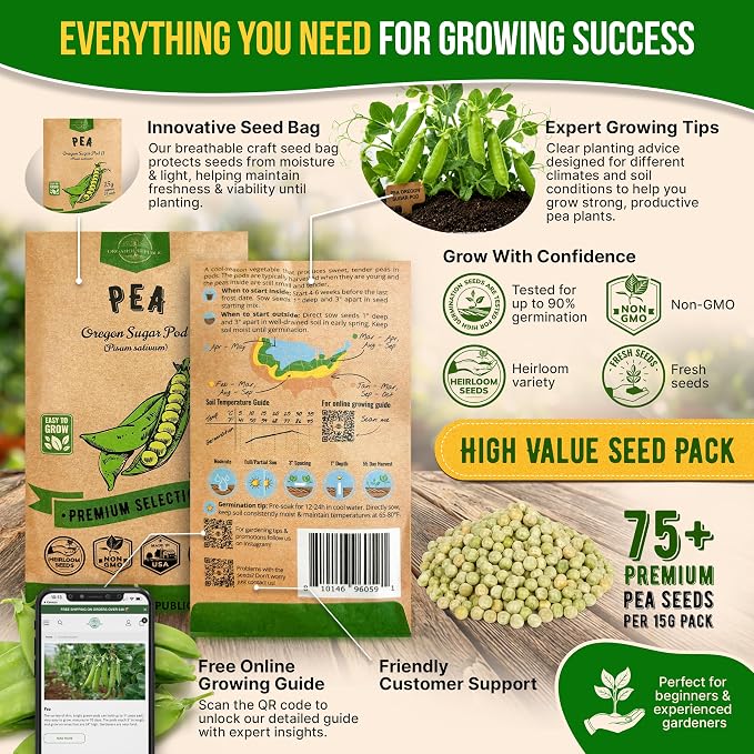 Organo Republic Pea Oregon Sugar Pod II Seeds Pack 15G - Over 75 Non-GMO Heirloom Pea Seeds for Planting Vegetables in Individual Seed Packet, Vegetable Seeds for Planting Home Garden Indoor & Outdoor