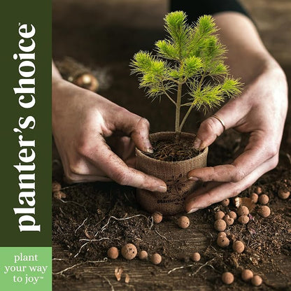 Planter's Choice Bonsai Tree Starter Kit - Birthday Gifts for Women, Men, Adults - Indoor Live House Plants - DIY Adults Craft Kits - Unique Hobby Gift Gardening Lovers - Gift Ideas Mom, Her, Friend