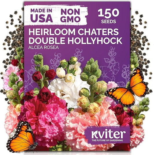 KVITER 150 Chaters Hollyhock Seeds for Planting (Alcea rosea) - Heirloom | Tall Blooms | Pollinator Magnet - Double Hollyhocks Flower Seeds to Plant Outside in Garden, Cottage Borders, Containers