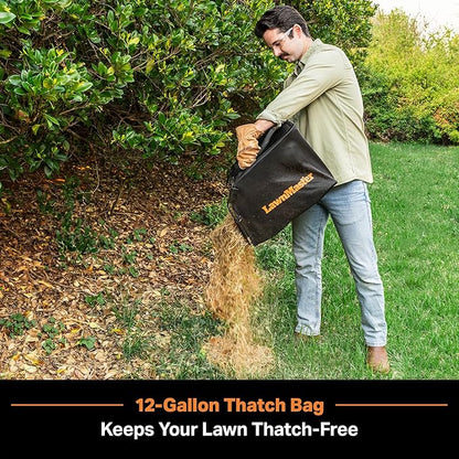 LawnMaster 48V MAX Brushless 16” 2-in-1 Cordless Dethatcher and Scarifier with Removable Thatch Collection Bag Quick-Fold – CLGVB4816