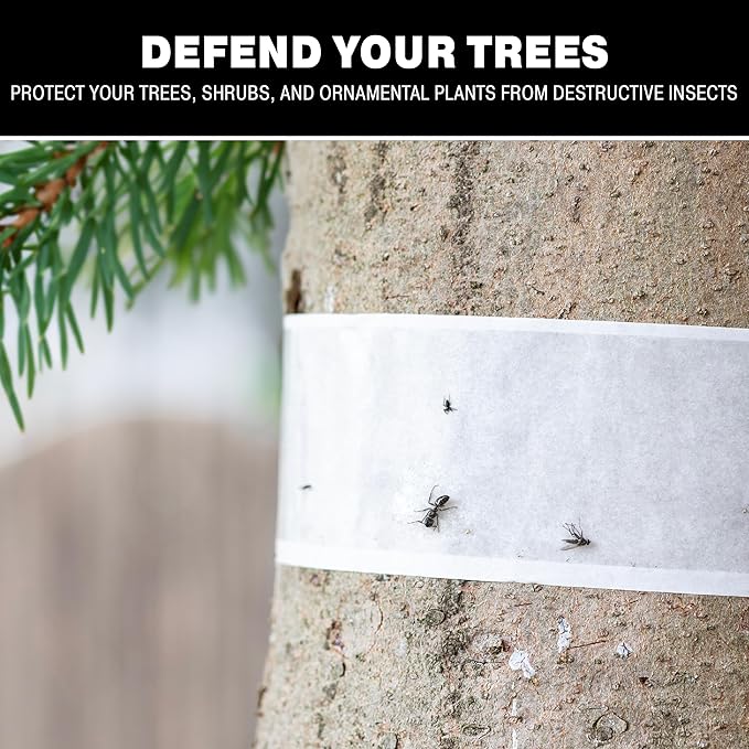 Catchmaster Tree Shield Lantern Fly & Ant Traps Insect Barrier, 12 Rolls 30ft Each, Outdoor Adhesive Crawling Insect Trap to Protect Trees, Fruit & Plants, Pest Control Lawn & Garden