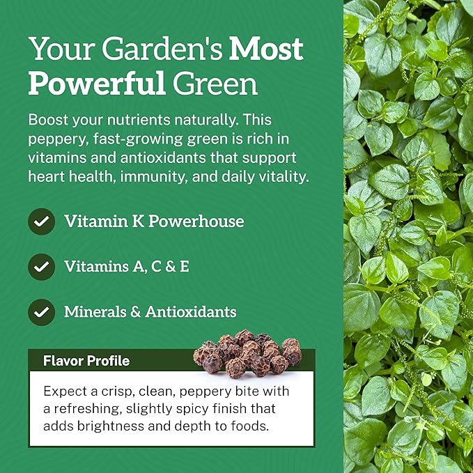 TKE Farms & Gardens - Watercress Seeds for Planting, 1500+ Non-GMO Heirloom Seeds, Grow a Nutrient-Rich Superfood, Easy for Indoor & Outdoor Gardens, Includes Planting Instructions, Qty 1
