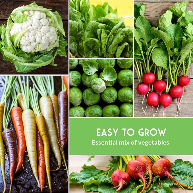 Fall Vegetable Seeds Collection - 8 Packs of Non-GMO Heirloom Cool Weather Seed Varieties for Planting Vegetables | Autumn & Indoor Gardening Variety Pack - Survival Garden Seeds