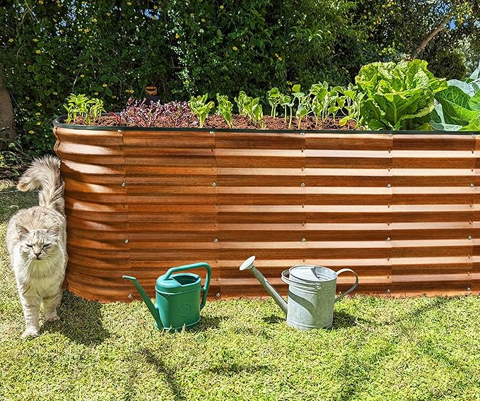 Plant & Plot Galvanized Raised Garden Beds Outdoor // 6×2×2 ft Planter Raised Beds for Gardening, Vegetables, Flowers (Dark Wood Grain) // Large Metal Garden Box // Patented Tool-Free Design