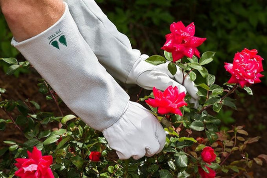 Leather Gardening Gloves by Fir Tree. Premium Goatskin Gloves With Cowhide Suede Gauntlet Sleeves. Perfect Rose Garden Gloves. Men's and Women's Sizes. (See Size Chart Photo) Size S