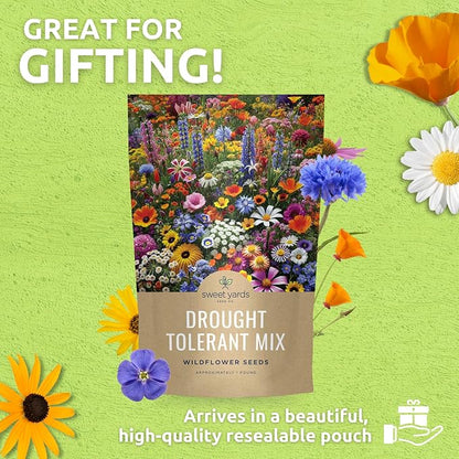 Drought Tolerant Wildflowers Mix – Bulk 5 Pounds – Over 600,000 Open Pollinated Non-GMO Seeds – 21 Different Dryland Species