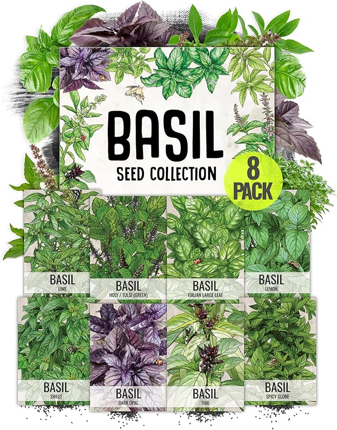 Seed Needs Basil Seeds Variety Pack of 8 Herbs for an Indoor Outdoor Garden