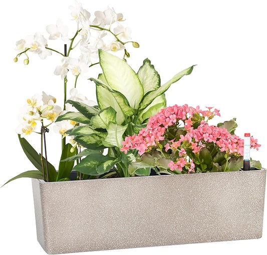 Elongated Self Watering Planter Pots Window Box 5.5 x 16 inch Indoor Home Garden Modern Decorative Planter Pot for All House Plants Flowers Herbs (Coffee,1-Pack)