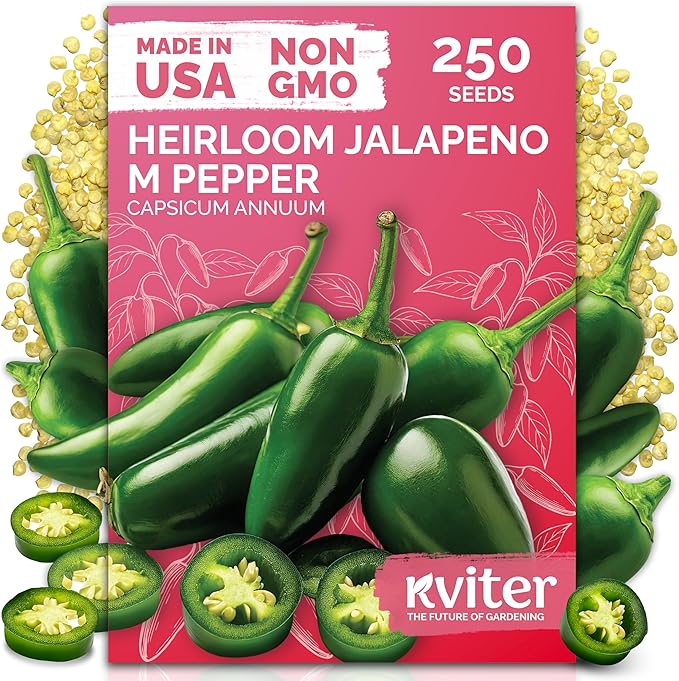 KVITER 250 Jalapeno Peppers M Heirloom Seeds (Capsicum annuum) – Jalepeno Chili Hot Peppers, Mexican Pepper Seed Packets – Vegetable Seeds for Planting Outdoor & Indoor Garden Containers, Raised Beds