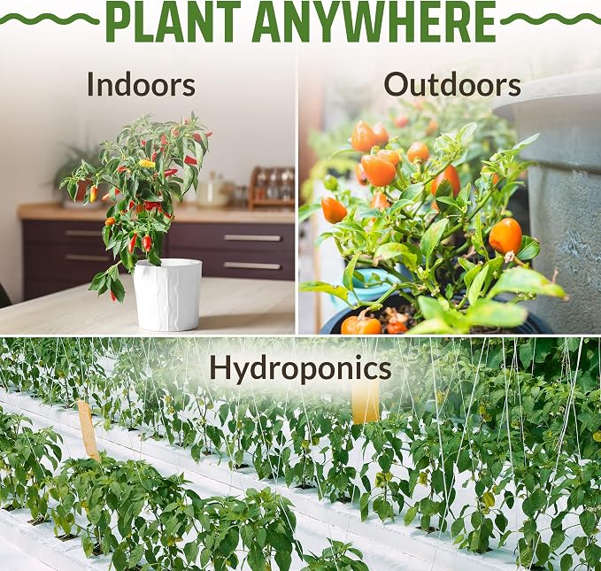 Rooted Acre 8 Varieties Hot Peppers – 240 Heirloom Seeds, High Germination – Includes Ghost Jalapeño, Serrano, California Wonder & More – Spicy Pepper Garden Mix