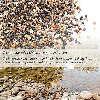 CJGQ 18lb 1/4/'' Polished Pebbles for Plants Potting,Succulents Aquarium Fish Tank Vases-Decorative River Rocks Garden Gravel Stones