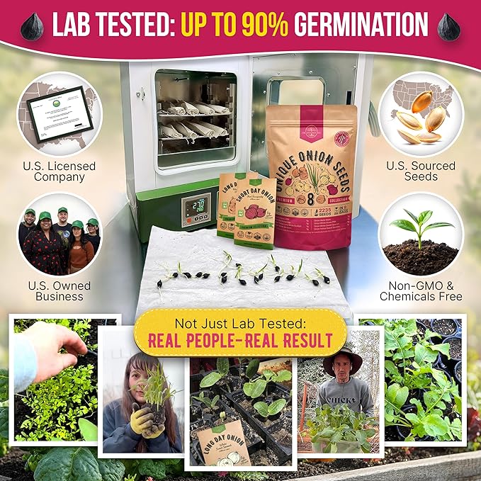 Organo Republic 8 Onion Seeds Variety Pack Heirloom, Non-GMO, Sets for Indoors, Outdoors Gardening. 2200+ Seeds: Walla Walla, Green Onion, Red Burgundy, White & Yellow Sweet Spanish Onions