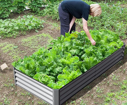 Domi Galvanized Raised Garden Bed, Outdoor Planter Garden Boxes Large Metal Planter Box for Gardening Vegetables Fruits Flowers, Silvery (8x4x1ft)