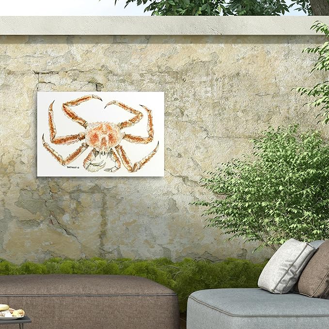 Outdoor Canvas Art - Dave Bartholet 'King Crab' Wall Art for Outdoor Spaces, Patios, or Gardens by Trademark Fine Art