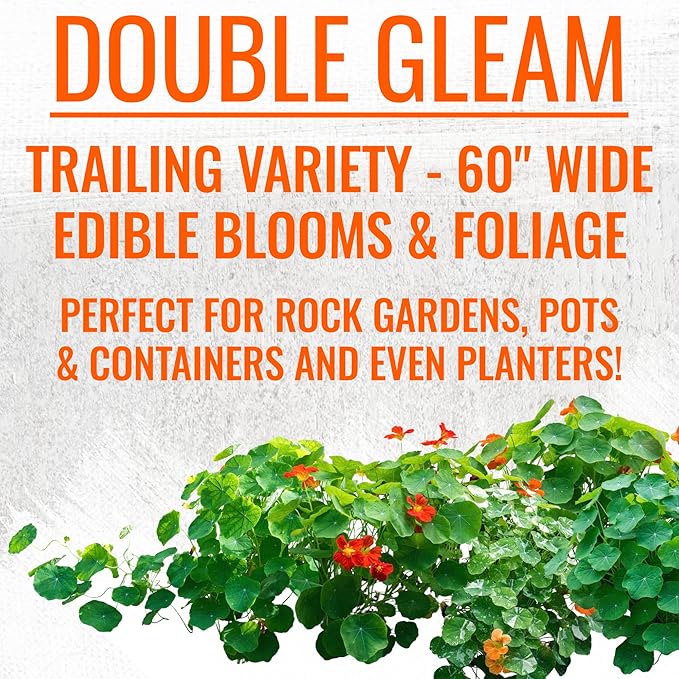 Seed Needs Nasturtium Garden Seeds Variety Pack of 2 Edible Wildflowers