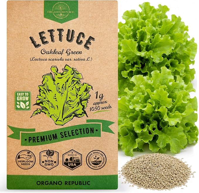 Organo Republic Lettuce Oakleaf Seeds Pack 1 G - Over 800 Non-GMO Heirloom Lettuce Seeds for Planting Greens in Individual Seed Packet, Greens Seeds for Planting Home Garden Indoor & Outdoor Gardening