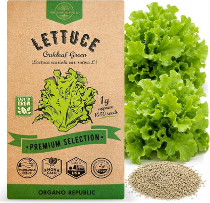 Organo Republic Lettuce Oakleaf Seeds Pack 1 G - Over 800 Non-GMO Heirloom Lettuce Seeds for Planting Greens in Individual Seed Packet, Greens Seeds for Planting Home Garden Indoor & Outdoor Gardening