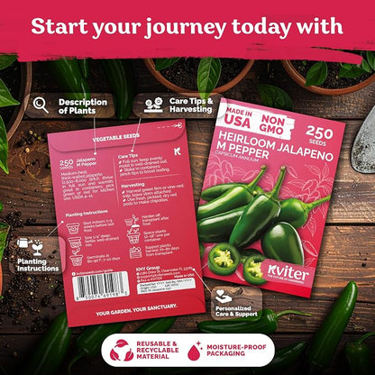 KVITER 250 Jalapeno Peppers M Heirloom Seeds (Capsicum annuum) – Jalepeno Chili Hot Peppers, Mexican Pepper Seed Packets – Vegetable Seeds for Planting Outdoor & Indoor Garden Containers, Raised Beds