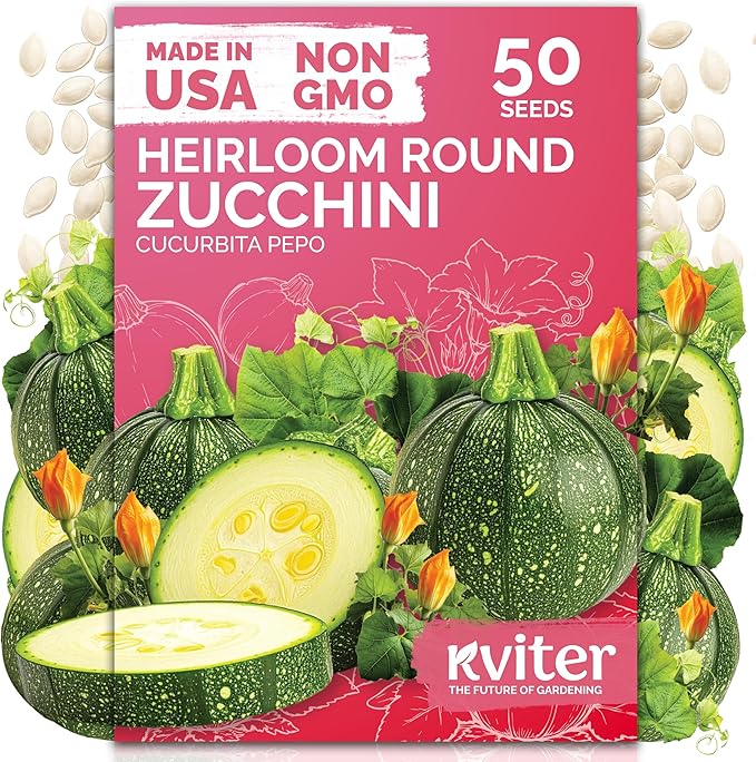 KVITER 50 Round Zucchini Seeds (Cucurbita Pepo) – Courgette Round Zucchini Squash Seed Packets, Non GMO Seed - Vegetables Seeds for Outdoor & Indoor Vegetable Garden and Containers