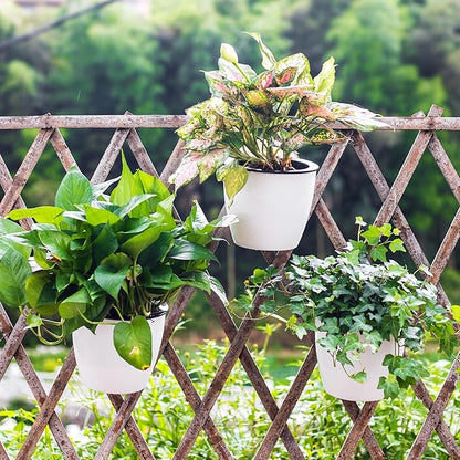6 Pack White Hanging Planter Pots Self Watering Vertical Garden Wall Mount Window Hang Round Plastic Container Indoor Outdoor for Plants Flowers Succulent Kitchen Living Herbs Holder Decor(Large)
