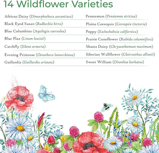 Created By Nature Montana Wildflower Seed Mix, 14 Flower Varieties, 53,000 Seeds