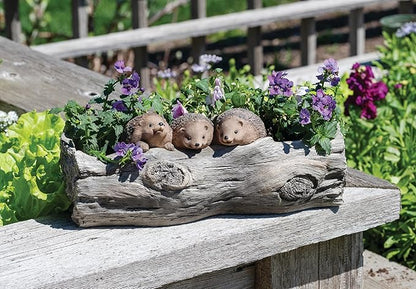 Roman, 5.25" h x 14" W Hedghog Garden Planter, Outdoor Decor,Whimsical Resin Outdoor Pot, Cute Animal Yard Décor, Unique for Garden or Patio