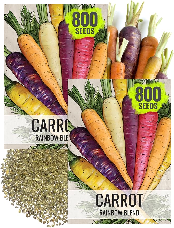 Seed Needs Rainbow Mixed Carrot Seeds to Plant Heirloom & Non-GMO 2 Packs