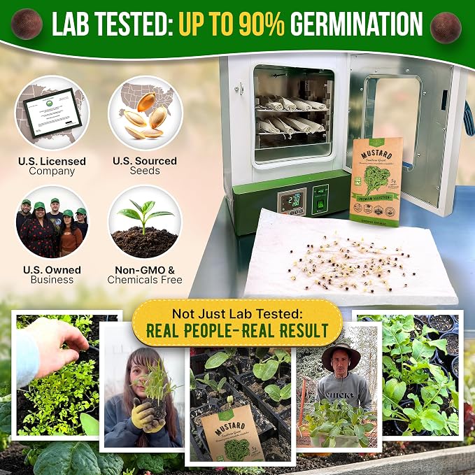 Organo Republic Mustard Southern Giant Seeds Pack 5 G - Over 3,950 Non-GMO Heirloom Mustard Seeds for Planting Greens in Individual Seed Packet, Greens Seeds for Planting Home Garden Indoor & Outdoor