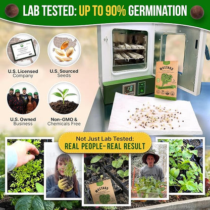 Organo Republic Mustard Southern Giant Seeds Pack 5 G - Over 3,950 Non-GMO Heirloom Mustard Seeds for Planting Greens in Individual Seed Packet, Greens Seeds for Planting Home Garden Indoor & Outdoor