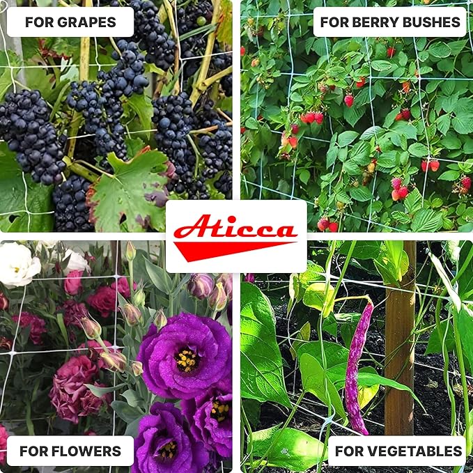 ATICCA Plastic Trellis Netting 79" x 328 ft Heavy Duty Plant Support Netting White - 6 Inch Garden Trellis on Roll - Mesh for Growing Vine Climbing Plants, Flowers, Peas, and Cucumber