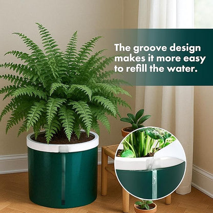 D'vine Dev 10 Inch Design Self Watering Planter for Indoor Plants, White Terracotta Pot with Teal Cylinder Glass Cup, 37-X-D-5