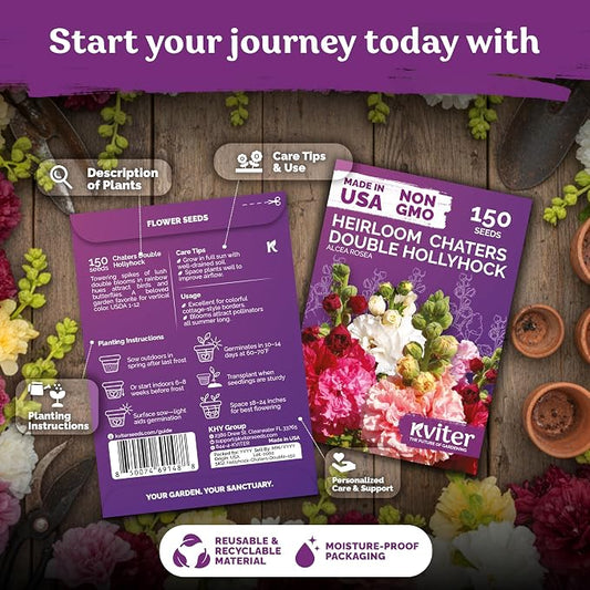 KVITER 150 Chaters Hollyhock Seeds for Planting (Alcea rosea) - Heirloom | Tall Blooms | Pollinator Magnet - Double Hollyhocks Flower Seeds to Plant Outside in Garden, Cottage Borders, Containers