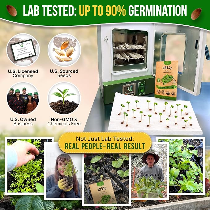 Organo Republic Curled Cress Seeds Pack 5G - Over 2,150 Non-GMO Heirloom Cress Seeds for Planting Greens in Individual Seed Packet, Greens Seeds for Planting Home Garden Indoor & Outdoor Gardening