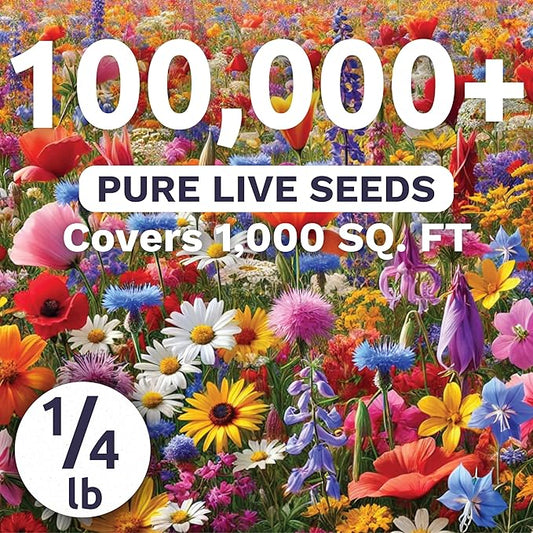 Rocky Mountain Regional Mix - Bulk 1/4 Pound Pouch - 100,000 Flower Seeds for Planting - Wildflower Mix