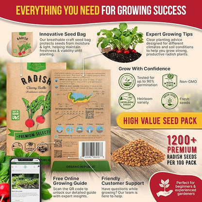 Cherry Belle Radish Seeds Pack 10 G - Over 1200 Non-GMO Heirloom Radish Seeds for Planting Vegetables in Individual Seed Packet, Vegetable Seeds for Planting Home Garden Indoor & Outdoor Gardening