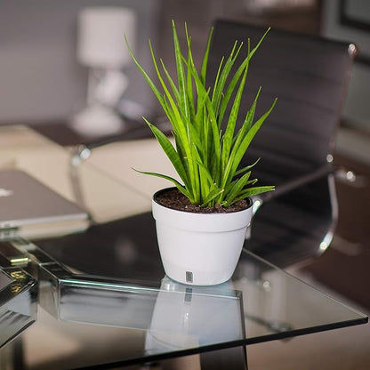 DecoPots - 7.1 Inch Self Watering Planter - Modern Flower Pot with Water Level Indicator for All House Plants, Flowers, Herbs (Diameter 7.1", White/Black)