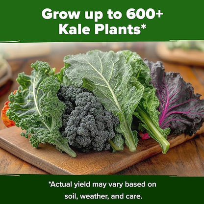 HOME GROWN Heirloom Vegetable Seeds Vegetable Seeds for Planting Home Garden, Beans, Carrots, Peppers, Cucumber, Kale, Pepper Seeds, Tomato (4 Kale)