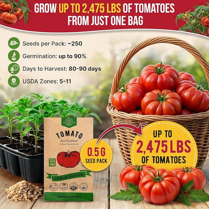 Red Beefsteak Tomato Seeds Pack 0.5 G - Over 250 Non-GMO Heirloom Tomato Seeds for Planting Vegetables in Individual Seed Packet, Vegetable Seeds for Planting Home Garden Indoor & Outdoor Gardening
