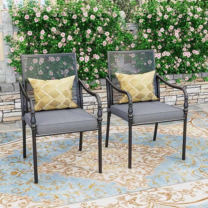 HERA'S HOUSE Outdoor Patio Chairs Set of 2, Garden Lawn Backyard Metal Dining Chairs with Arms and Seat Cushions