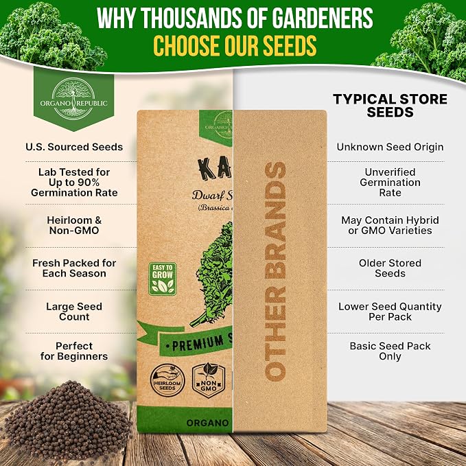Organo Republic Kale Dwarf Siberian Seeds Pack 5 G - Over 1,650 Non-GMO Heirloom Kale Seeds for Planting Greens in Individual Seed Packet, Greens Seeds for Planting Home Garden Indoor & Outdoor