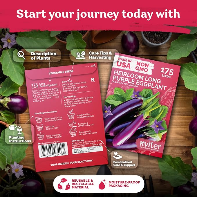 KVITER 175 Long Purple Eggplant Seeds (Solanum melongena) – Asian Eggplant, Dark Purple Italian Egg Plant Seed Packets – Heirloom Vegetable Seeds for Planting Outdoors & Indoor Garden, Containers Beds
