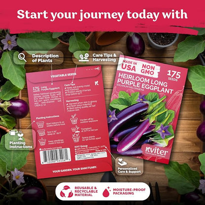 KVITER 175 Long Purple Eggplant Seeds (Solanum melongena) – Asian Eggplant, Dark Purple Italian Egg Plant Seed Packets – Heirloom Vegetable Seeds for Planting Outdoors & Indoor Garden, Containers Beds