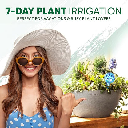 Plant Watering Globes Set of 2 - Large Self Watering Globes for Indoor & Outdoor Plants - Multicolored, Automatic, Glass Watering Bulbs for Daily Use, Plant Watering Devices
