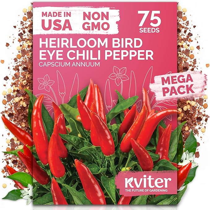 KVITER 75 Birds Eye Chili Pepper Seeds for Planting (Capsicum Annuum) — Thai Chili Red Pepper, Extra‑Hot 50K-100K SHU, High‑Yield Bush — Heirloom Vegetable Seeds for Outdoor & Indoor Garden