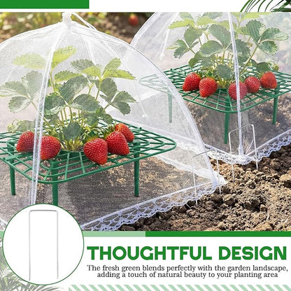 12 Sets Square Strawberry Plant Support with Mesh Plant Cover, Strawberry Growing Kit with Iron Nails for Garden Vegetables Keep Berries Clean