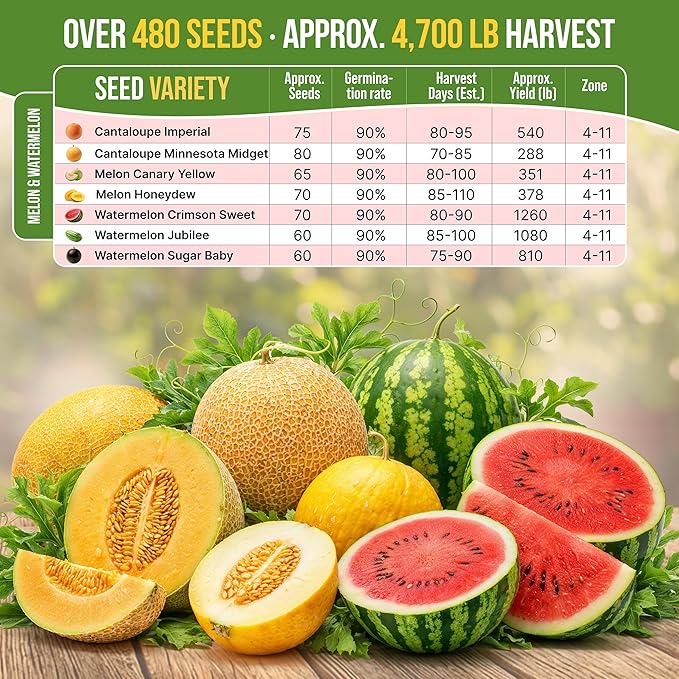 Organo Republic 7 Melon & Watermelon Seeds Variety Pack 480+ Non-GMO Heirloom Fruit Seeds for Planting Fruits in Individual Seed Packets, Home Garden Seeds for Hydroponic, Indoor & Outdoors Gardening