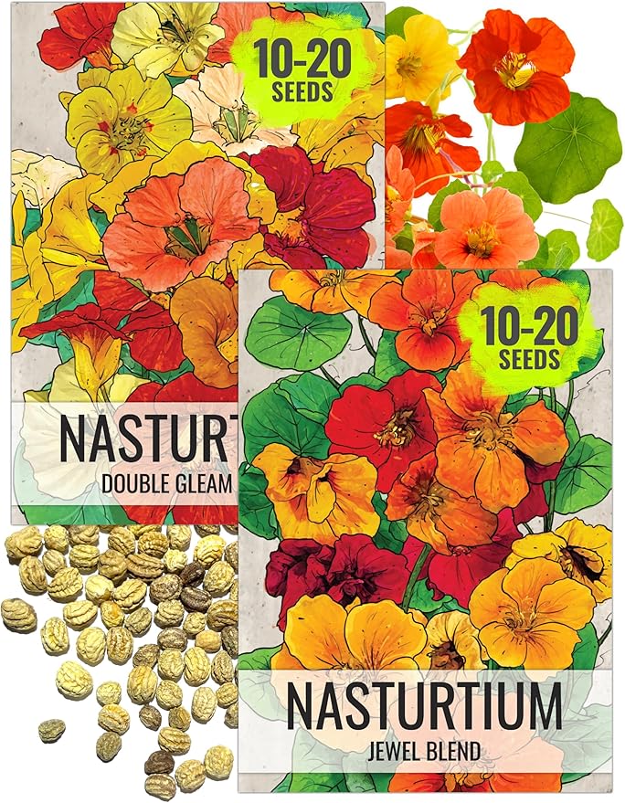 Seed Needs Nasturtium Garden Seeds Variety Pack of 2 Edible Wildflowers