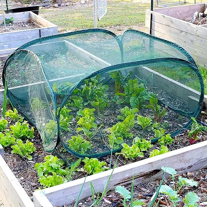 Gardeneer by Dalen Pop-Net Portable Protective Enclosure – Lightweight and Weatherproof – Easy DIY Installation – Safeguard Your Plants Against Garden Pests - 40" x 40" x 20"