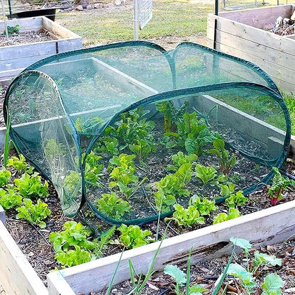 Gardeneer by Dalen Pop-Net Portable Protective Enclosure – Lightweight and Weatherproof – Easy DIY Installation – Safeguard Your Plants Against Garden Pests - 40" x 40" x 20"