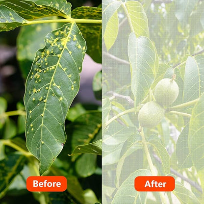 Alpurple Insect Bird Barrier Netting Mesh- 20 x 10 Feet Garden Bug Netting Plant Cover for Protect Plant Fruits Flower from Insect Bird Eating